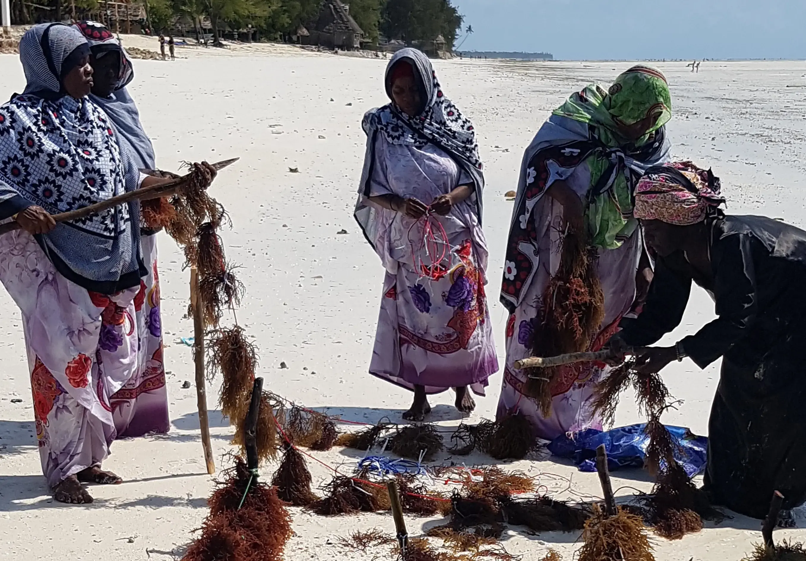 President Shein launches the Zanzibar Joint Programme