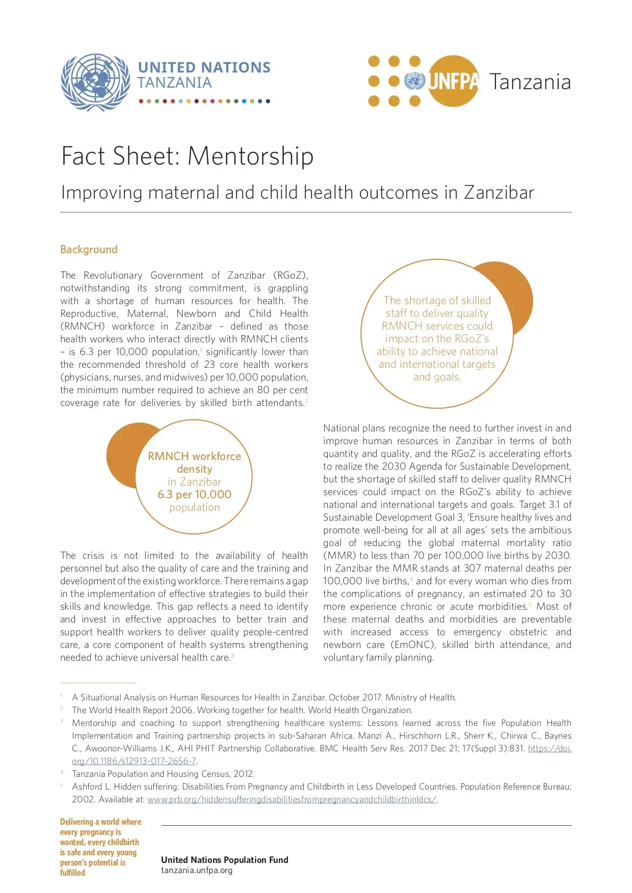 Fact Sheet on Mentorship